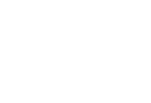 FANOSE VAS